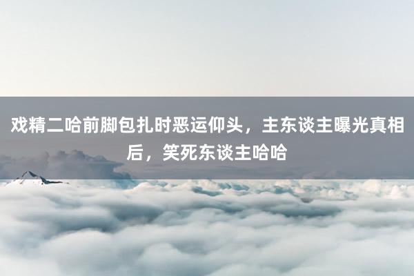 戏精二哈前脚包扎时恶运仰头，主东谈主曝光真相后，笑死东谈主哈哈