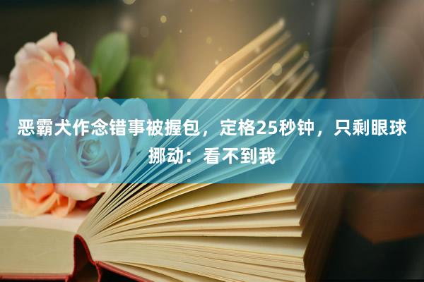 恶霸犬作念错事被握包，定格25秒钟，只剩眼球挪动：看不到我