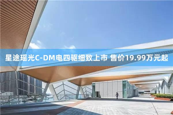 星途瑶光C-DM电四驱细致上市 售价19.99万元起