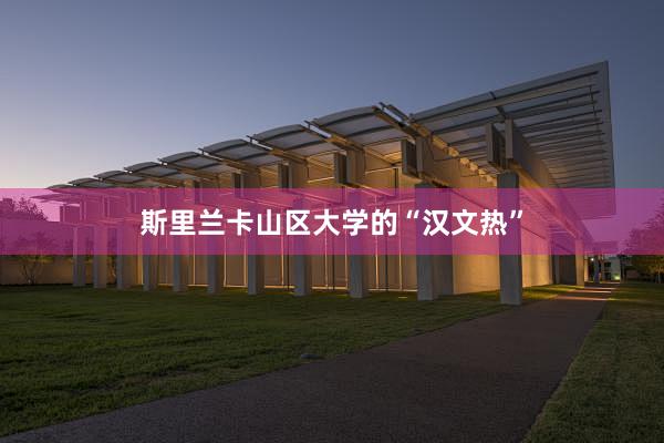 斯里兰卡山区大学的“汉文热”