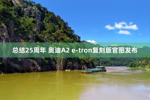 总结25周年 奥迪A2 e-tron复刻版官图发布