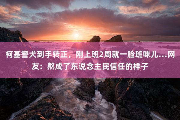 柯基警犬到手转正，刚上班2周就一脸班味儿…网友：熬成了东说念主民信任的样子