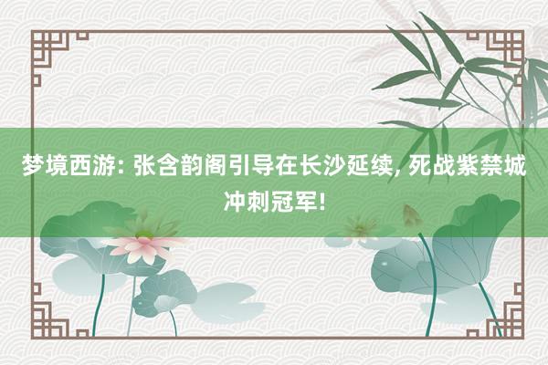 梦境西游: 张含韵阁引导在长沙延续, 死战紫禁城冲刺冠军!