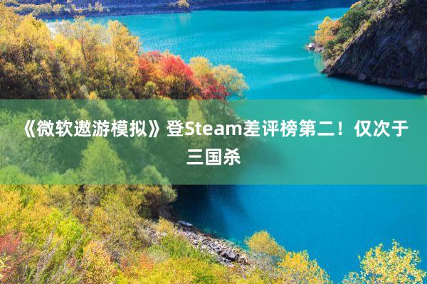 《微软遨游模拟》登Steam差评榜第二！仅次于三国杀